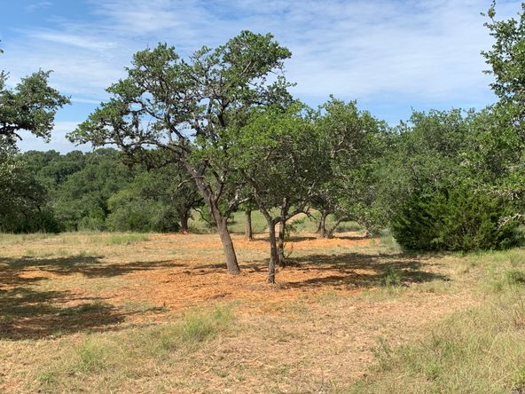 part of edmond ranch: 000 FM 32, Blanco, TX 78606